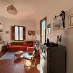 Rent 1 bedroom apartment of 50 m² in Pisa