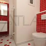 Pronajměte si 3 ložnic/e byt o rozloze 133 m² v Prague