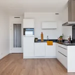 Rent 1 bedroom apartment of 70 m² in Rijswijk