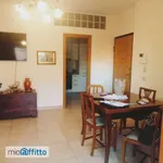 Rent 2 bedroom apartment of 60 m² in Rome