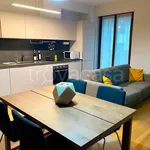 Rent 2 bedroom apartment of 60 m² in Milano