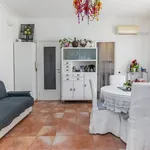 Rent 2 bedroom apartment of 62 m² in Milano