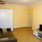 Rent 1 bedroom apartment of 27 m² in Łódź