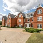 Rent 1 bedroom apartment in Canterbury