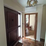 Rent 2 bedroom house in Merchtem