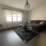 Rent 1 bedroom apartment in Kapellen