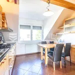 Rent 3 bedroom apartment of 120 m² in Zagreb