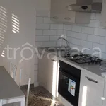 Rent 2 bedroom apartment of 60 m² in Frosinone