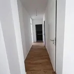 Rent 3 bedroom apartment of 130 m² in Berlin