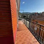 Rent 4 bedroom apartment of 110 m² in Colleferro