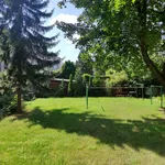 Rent 2 bedroom apartment of 53 m² in Duchcov