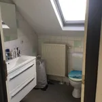 Rent 1 bedroom apartment in Antwerp