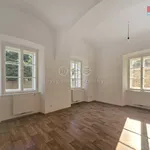 Rent 1 bedroom apartment in Kladno