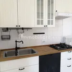 Rent 2 bedroom house of 40 m² in Turin