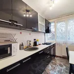 Rent 2 bedroom apartment of 46 m² in Lovnic