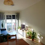 Rent 3 bedroom apartment of 54 m² in Toruń