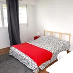 Louez une chambre de 100 m² à Strasbourg