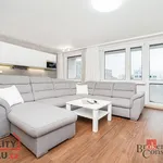 Rent 3 bedroom apartment of 72 m² in Capital City of Prague