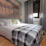 Rent 1 bedroom apartment of 50 m² in madrid