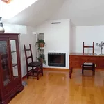 Rent 6 bedroom apartment of 230 m² in Coriano