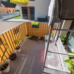 Rent 2 bedroom apartment in Brandýs nad Labem-Stará Boleslav