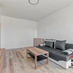 Pronájem zařízeného a zrekonstruovaného bytu 1+1, 32 m2, ul.