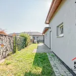 Rent 1 bedroom apartment in Ostrava