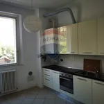 Rent 3 bedroom apartment of 85 m² in Bologna