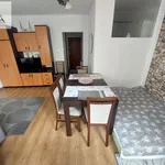 Rent 1 bedroom apartment of 28 m² in Wałbrzych