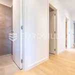 Rent 3 bedroom apartment of 141 m² in Zagreb