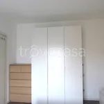 Rent 3 bedroom apartment of 104 m² in Milano