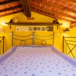 Rent 1 bedroom apartment in Florence