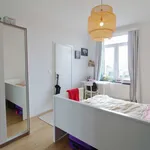 Rent a room in brussels