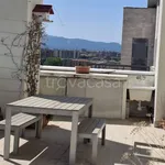 Rent 3 bedroom apartment of 75 m² in Livorno