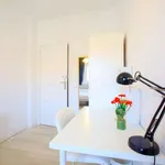 Rent a room of 100 m² in valencia