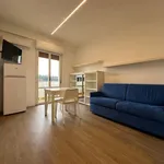 Rent 1 bedroom apartment of 32 m² in Silvi