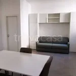 Rent 1 bedroom apartment of 30 m² in Lodi