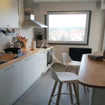 Rent 1 bedroom apartment in LE TOUQUET-PARIS-PLAGE