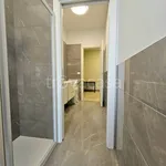 Rent 4 bedroom apartment of 130 m² in Torino