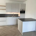 Rent 3 bedroom apartment of 122 m² in Maastricht