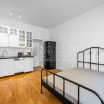 Rent 1 bedroom apartment in Capital City of Prague