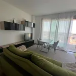 Rent 2 bedroom apartment of 61 m² in Milan