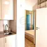 Rent 2 bedroom apartment in Praha 2