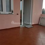 2-room flat via Roccioso, Murta Maria, Porto Istana, Olbia