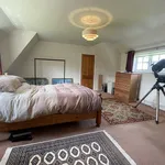 Rent 5 bedroom house in East Of England