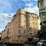 Rent 1 bedroom apartment in Karlovy Vary