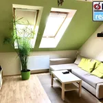 Pronajměte si 2 ložnic/e byt o rozloze 40 m² v Pilsen