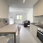 Rent 1 bedroom apartment of 36 m² in Tovo di Sant'Agata