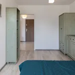 Rent 1 bedroom apartment of 40 m² in Wrocław