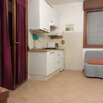 Rent 1 bedroom apartment of 45 m² in Bologna